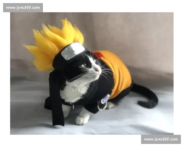 《赛季猫比赛：挑战极限，开启萌宠竞技新时代》